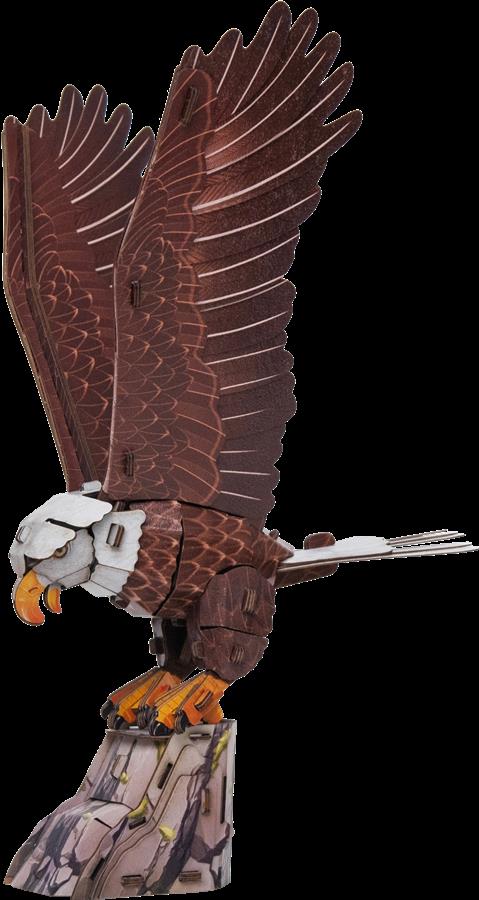 Make Bug Sky Echo Bald Eagle D0057
