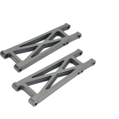 RCETG 2004 REAR A-ARMS (2)- PRO2-SC