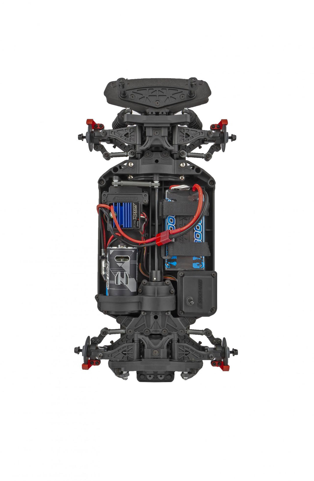 Team Associated  Apex2 Sport, D