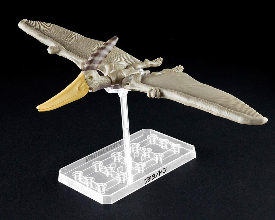 07 PTERANODON DINO KIT Bandai BAS2665828