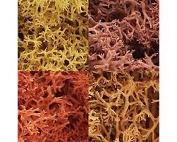 Woodland Scenics L165 Lichen Autumn Mix 1.5 Quar/82 cu. in.