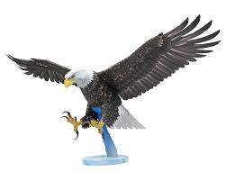 Fascinations Metal Earth American Bald Eagle Color 3D Metal Model Kit FSCPS2017