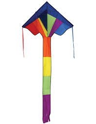 33" Rainbow Best Flier