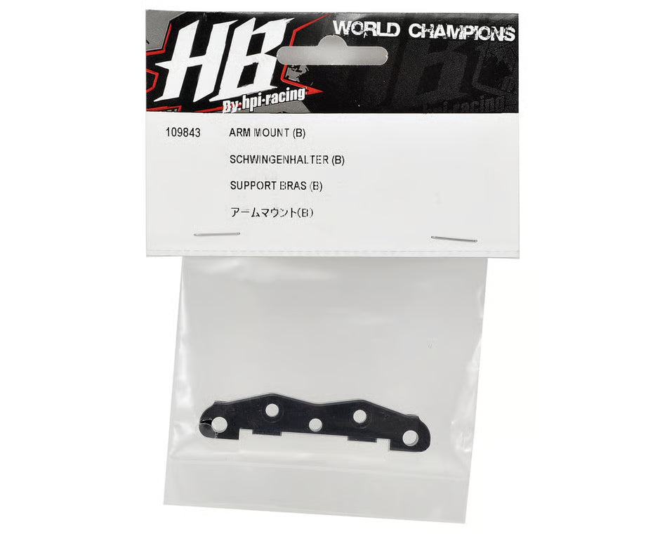 HOT BODIES ARM MOUNT