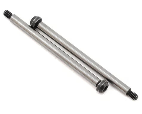 Hot Bodies D216 Hinge Pin Set Outer Rear (2) HBS116278