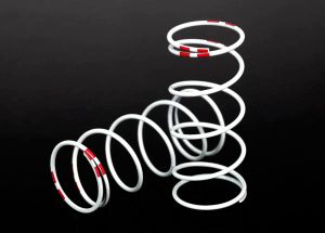 SPRINGS GTR LNG .810 PNK Traxxas 7445