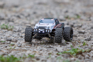 Mini Trek MT 1/24 RTR Monster Truck Race RC RGRC2500 RGRC2501