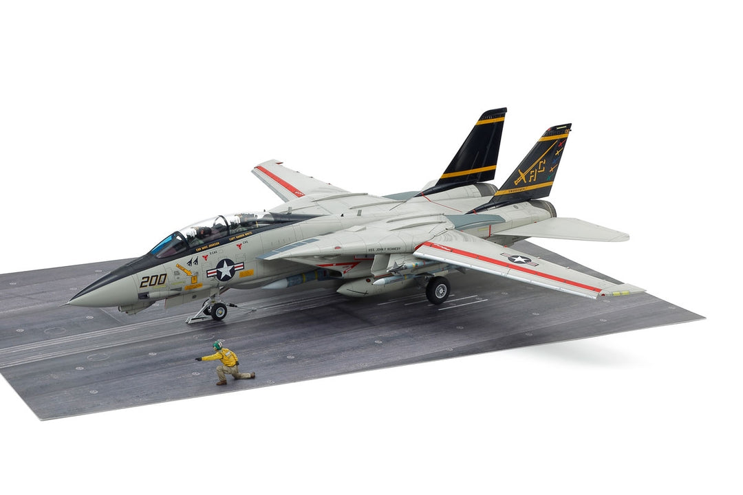 1/48 Grumman F-14A Tomcat Carri