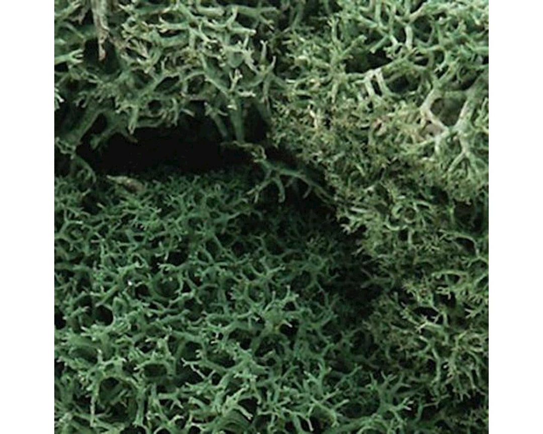 L162 Lichen Light Green 1.5 Qua