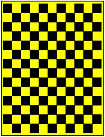 X Large Checkers Paint Mask XXX Main Racing XXXM016L